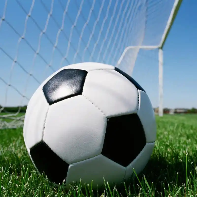 新手球迷学习场景